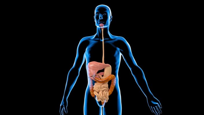 285045659-colon-recto-aparato-gastrointestinal-esofago
