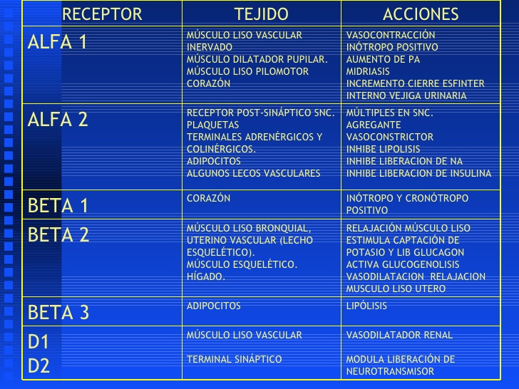 farmacologa-adrenergicos-8-728