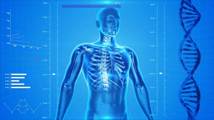 cuerpo-humano