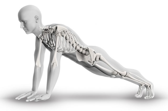 3D male figure with partial skeleton in yoga pose