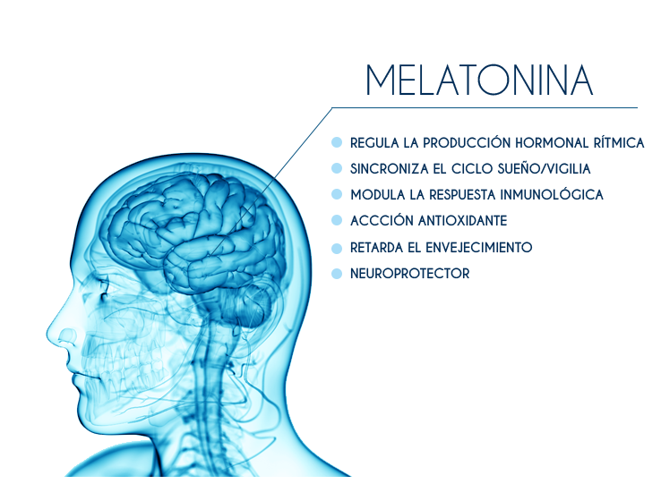 Melatonina-ventajas-v2